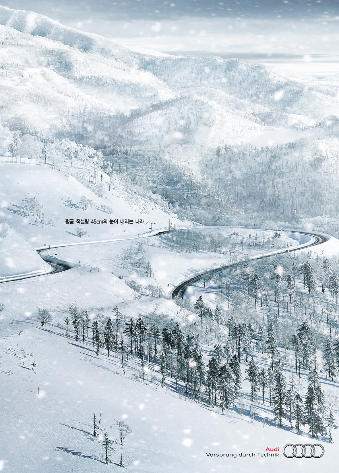 1218 luxury 날개 213297